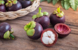 Mangosteen Juice Recipe for Amazing Antioxidants