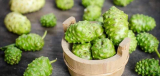 Noni Juice Benefits: Able to Combat Liver Cancer, Lung Cancer & More